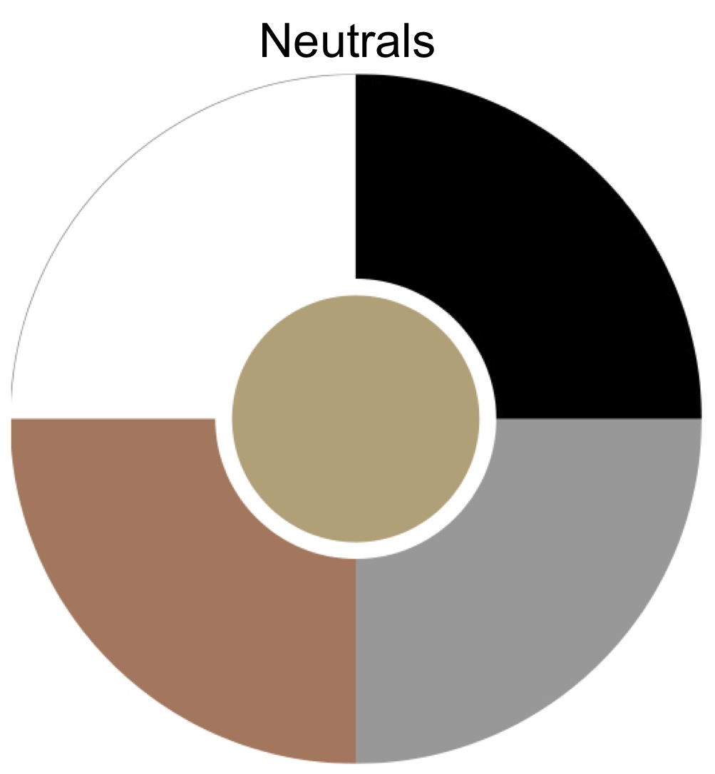 Neutral Color Wheel Makeup Gourmet Face With A Heart Authentic 